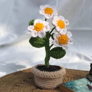Crocheted Daisy Plant Decor