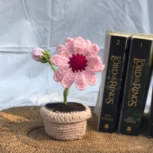 Crocheted Pink Daisy Plant Decor