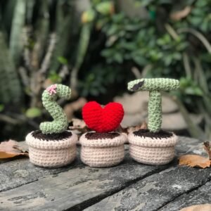 Crocheted "S T" Love Cactus Set