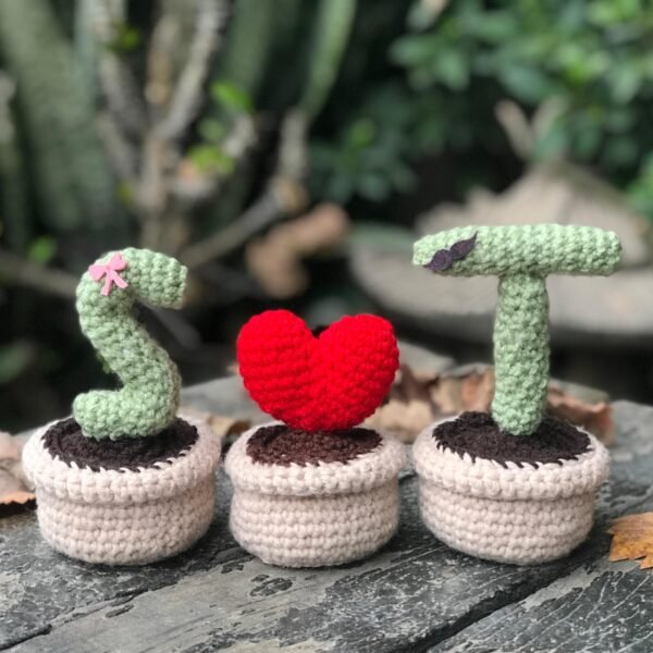 Crocheted "S T" Love Cactus Set - Image 2