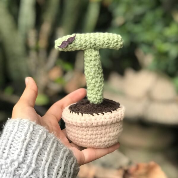 Crocheted "S T" Love Cactus Set - Image 5