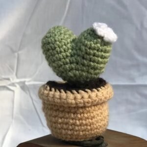 Crocheted White Bloom Heart Cactus Decor