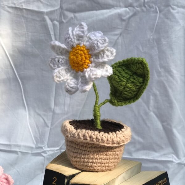 Crocheted White Daisy Plant Decor