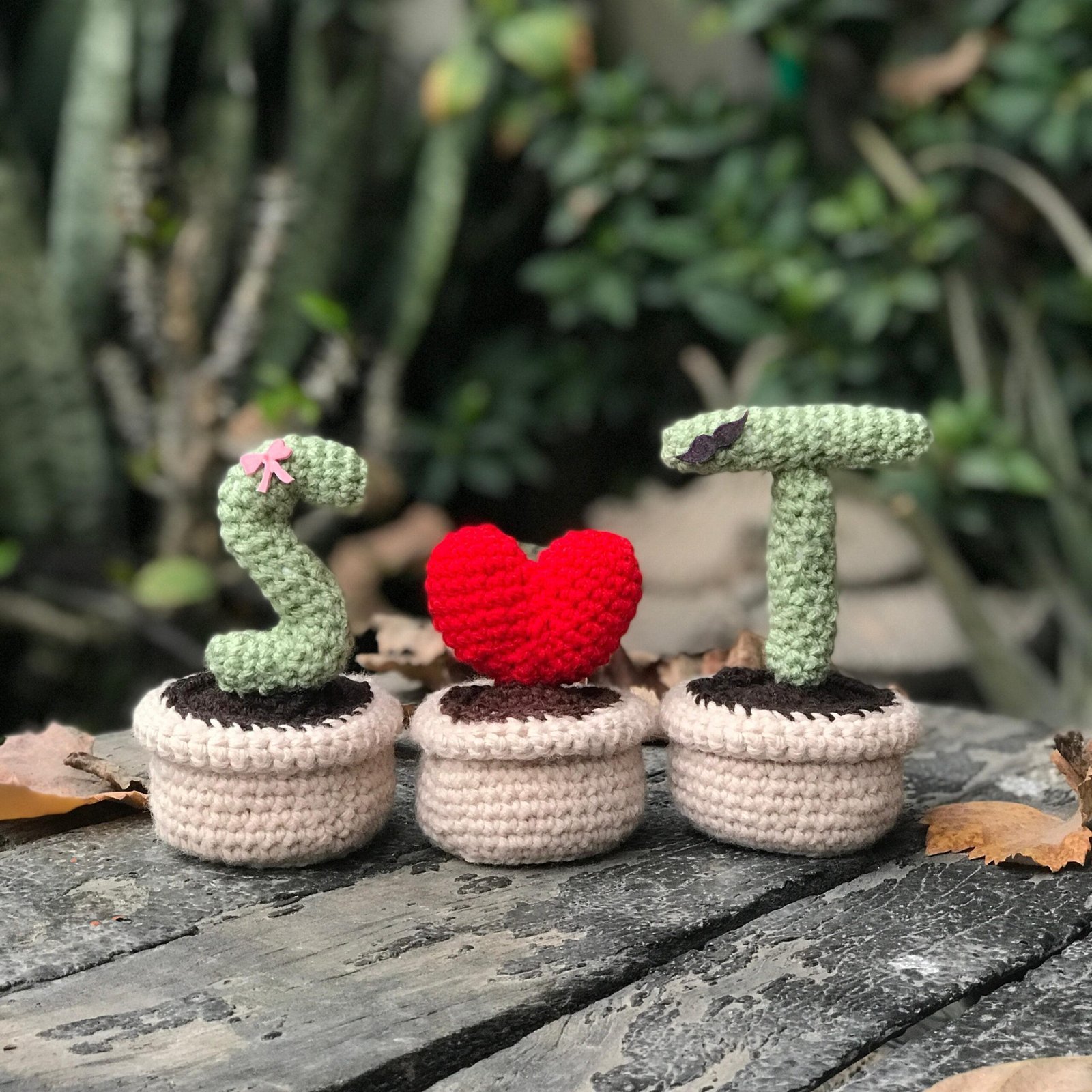 Crocheted-S-T-Love-Cactus-Set-1-scaledjpg - Tie Your Knots With Us | Handmade Crochet Gifts